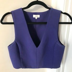 Aritizia Blue Structured Crop Top